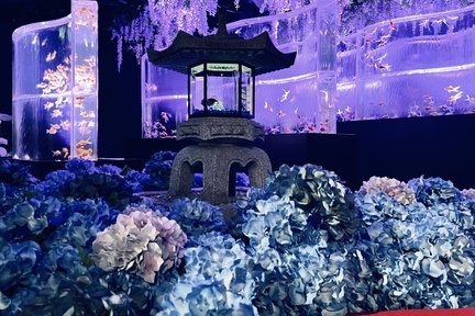 บัตรเข้าชมพิพิธภัณฑ์ Art Aquarium Museum GINZA