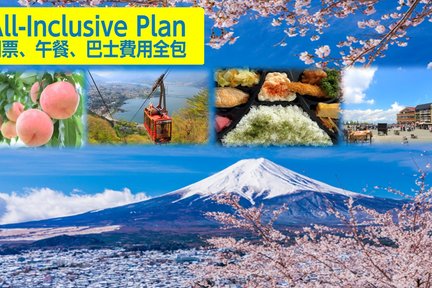 Mt Fuji 5th St. & Ropeway & Fruit Picking Oshino Hakkai from Tokyo
