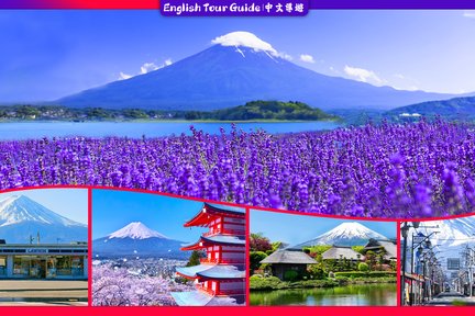 Mount Fuji popular instagrammable sightseeing tour (from Tokyo)