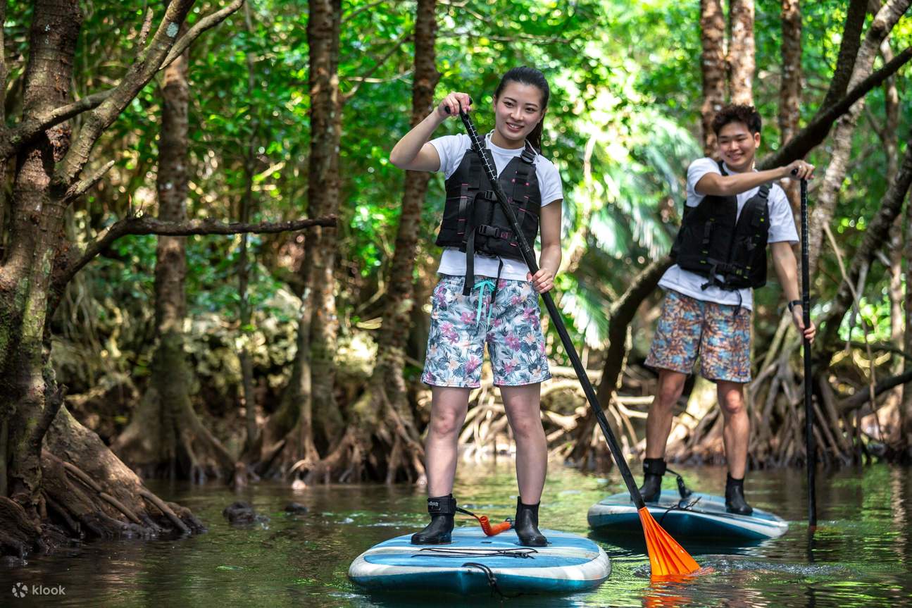 [Ishigaki Island/1 day] Enjoy the sea and river for a day! Natural Monument Mangrove SUP/Canoe & Blue Cave Snorkeling