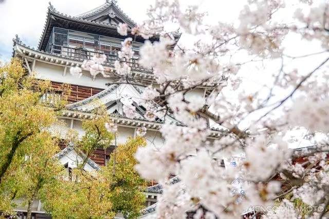 Hiroshima Castle