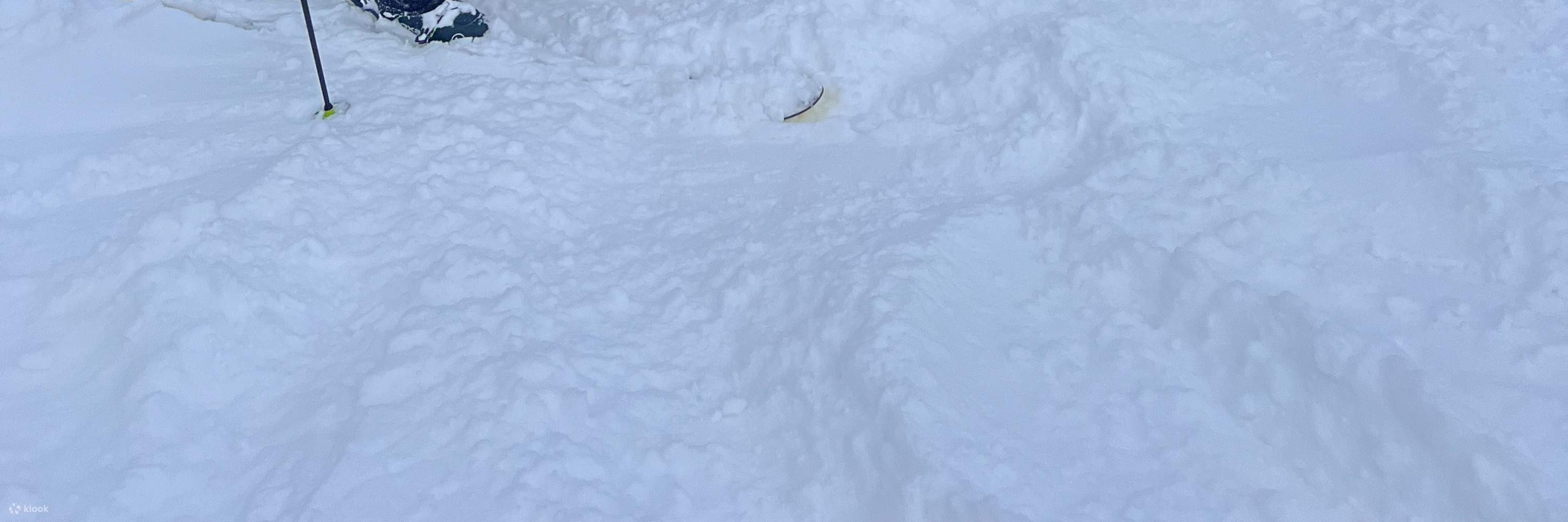 Bài học trượt tuyết hoặc ván trượt tuyết riêng tại NIseko, Hokkaido